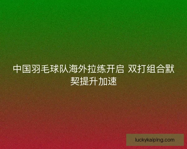 中国羽毛球队海外拉练开启 双打组合默契提升加速